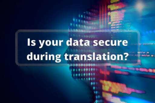 Data security during translation - news article