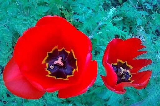 Exercising - Relax - news article