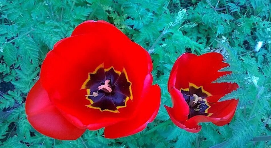 Breathe -Exercise- Create De-stress