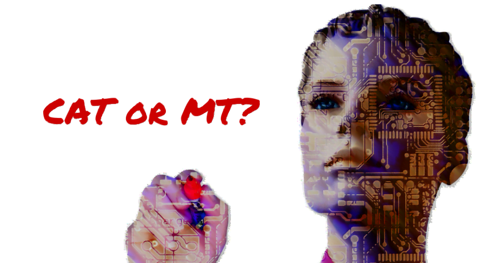 What is the difference between CAT and MT?